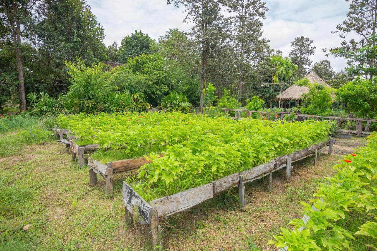 Bong Thom Forest Lodge Ciudad de Siem Riep Exterior foto